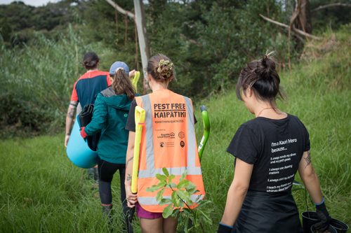 PFK-Planting-Day-500px